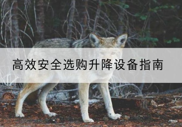 南木林升降货梯厂家推荐-*安全选购升降设备指南
