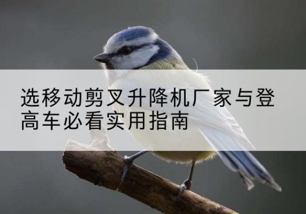 南木林电动升降机厂家-选移动剪叉升降机厂家与登高车必看实用指南