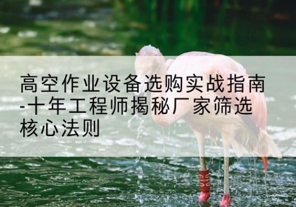 南木林剪叉式升降机厂家-高空作业设备选购实战指南-十年工程师揭秘厂家筛选核心法则